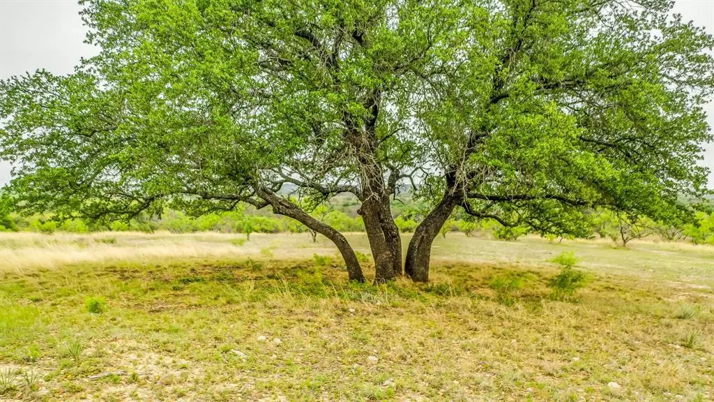 Blanket, TX 76432,Lot 3 County Road 332