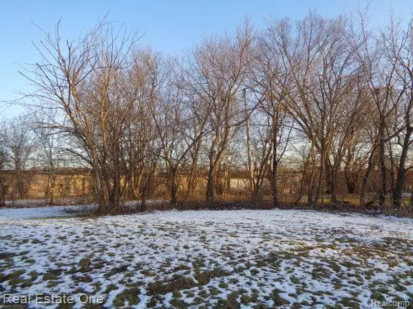 Detroit, MI 48205,14404 MANNING ST