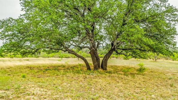 Lot 3 County Road 332, Blanket, TX 76432