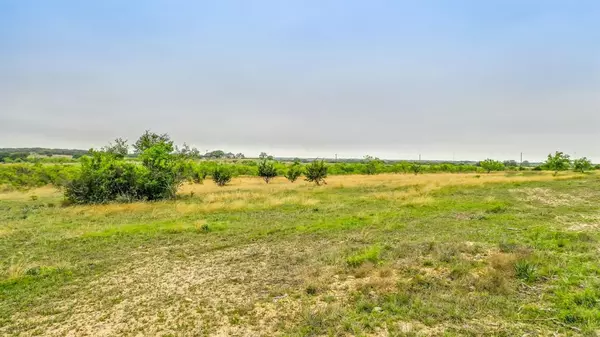 Blanket, TX 76432,Lot 3 County Road 332