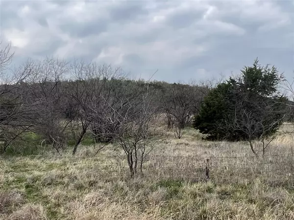 Caddo, TX 76429,TBD Loop 252