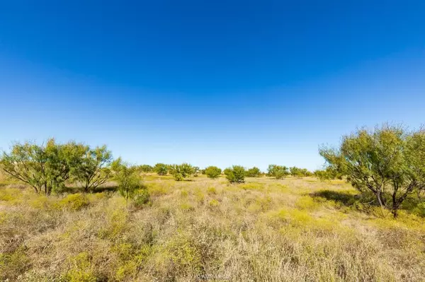 Tye, TX 79536,TBD FERRIS Road
