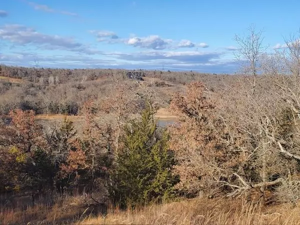 Sunset, TX 76270,000 Creekside Drive