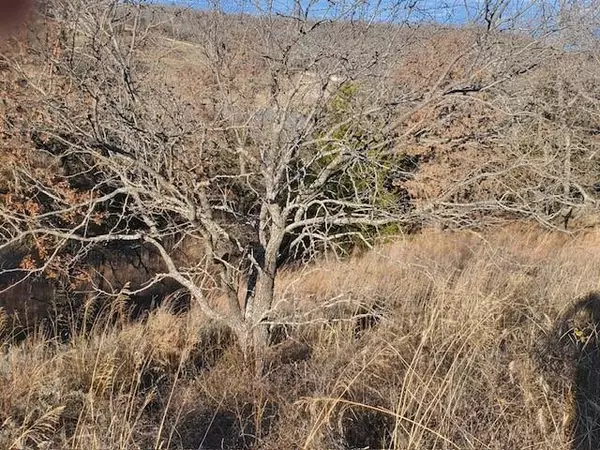 Sunset, TX 76270,000 Creekside Drive