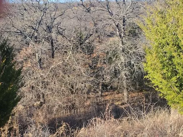 Sunset, TX 76270,000 Creekside Drive