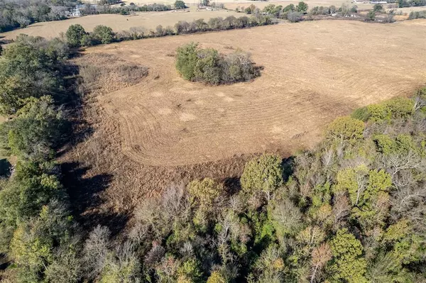 Emory, TX 75440,320 County Road 2160