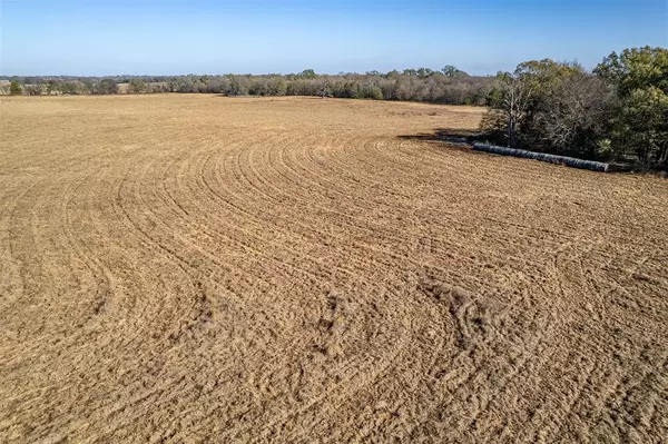 Emory, TX 75440,320 County Road 2160