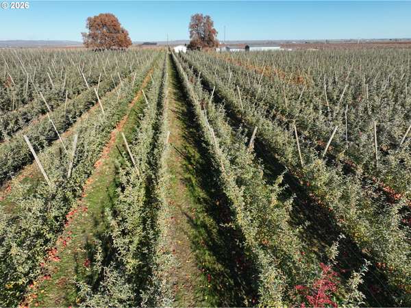 4665 Sheffield RD, Mesa, WA 99343