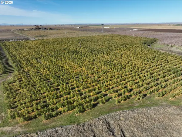 4665 Sheffield RD, Mesa, WA 99343