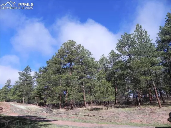 Larkspur, CO 80118,4467 Delaware DR