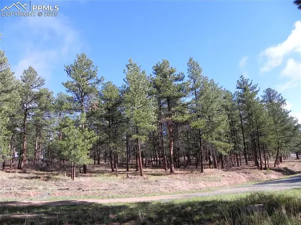 Larkspur, CO 80118,4467 Delaware DR