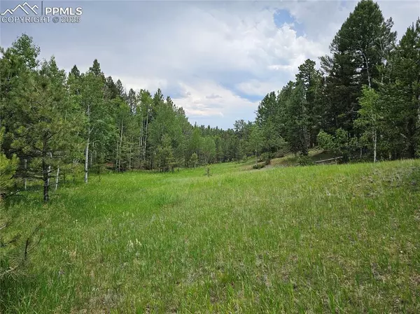1694 County Road 512, Divide, CO 80814