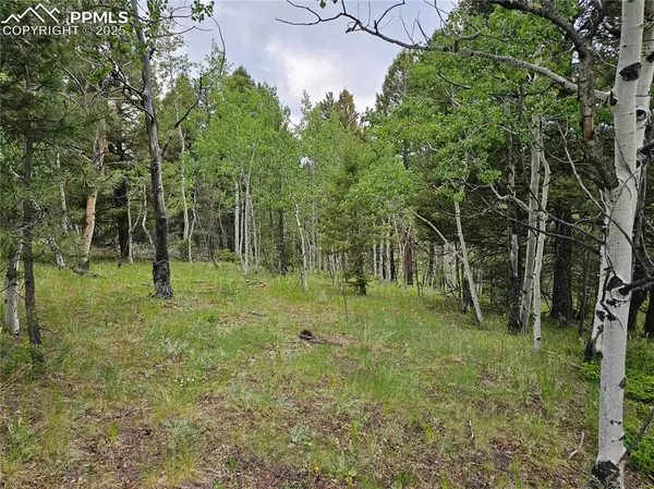 Divide, CO 80814,1694 County Road 512