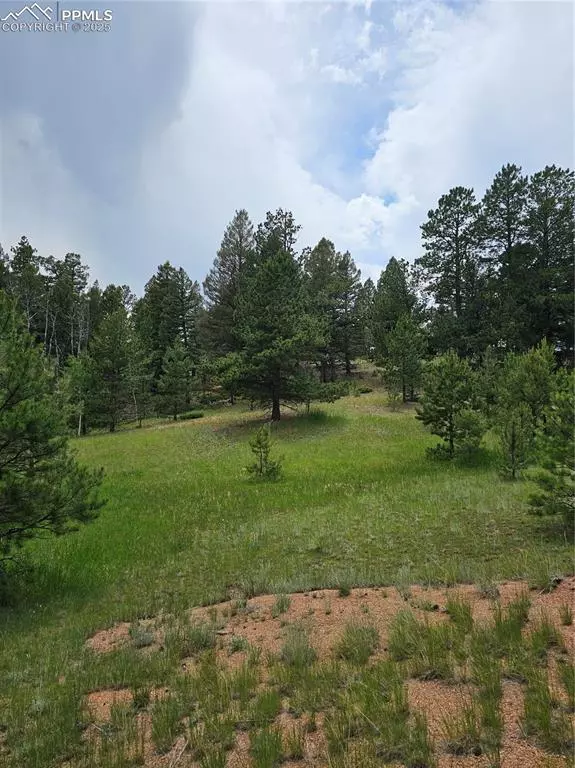 Divide, CO 80814,1694 County Road 512