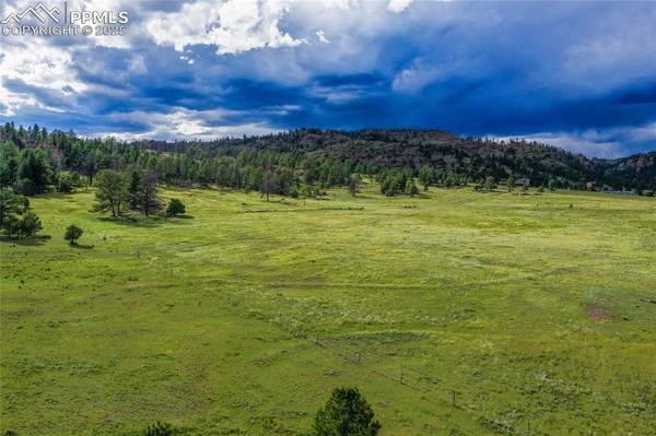 TBD Spring Valley DR, Florissant, CO 80816