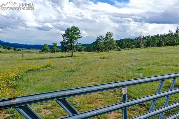 Florissant, CO 80816,TBD Spring Valley DR