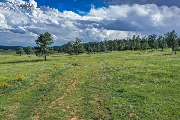 Florissant, CO 80816,TBD Spring Valley DR