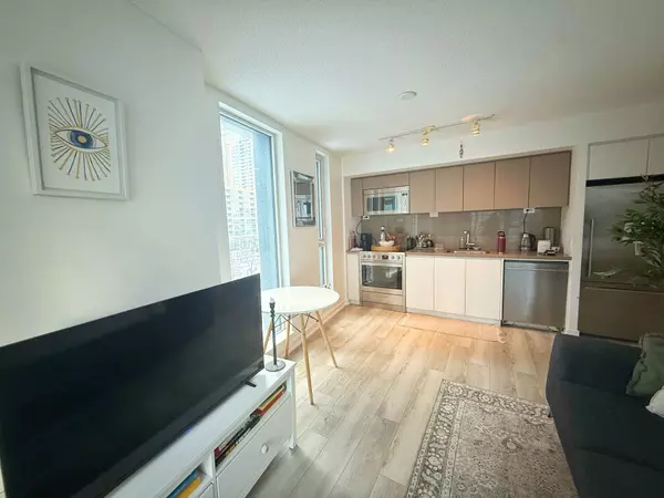 Toronto C01, ON M5V 0J8,75 Queens Wharf RD #617