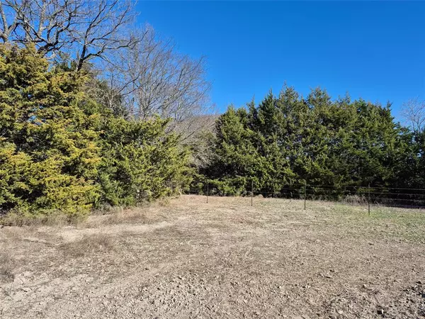 Trenton, TX 75490,1149 CR 4642