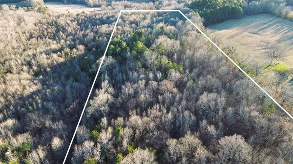 Cookville, TX 75558,1628 CR 3375