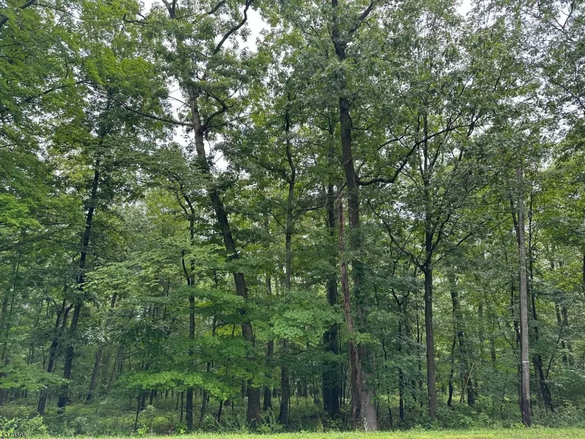 Frankford Twp., NJ 07826,216 Mattison Reservoir Ave.