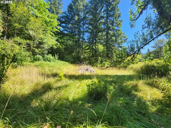 Deadwood, OR 97430,16807 HIGHWAY 36