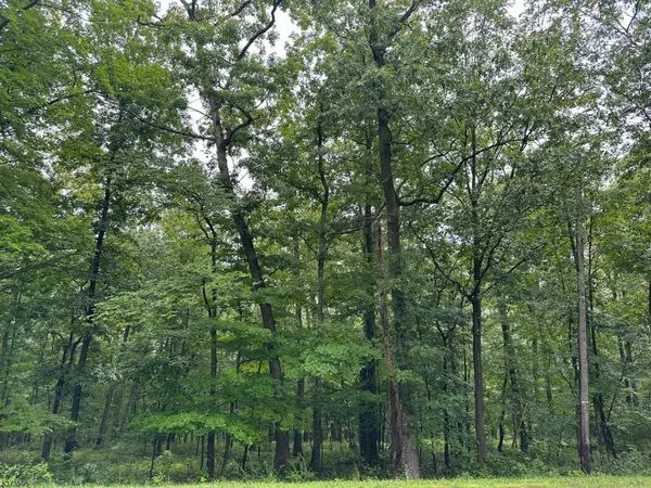 216 Mattison Reservoir Ave., Frankford Twp., NJ 07826