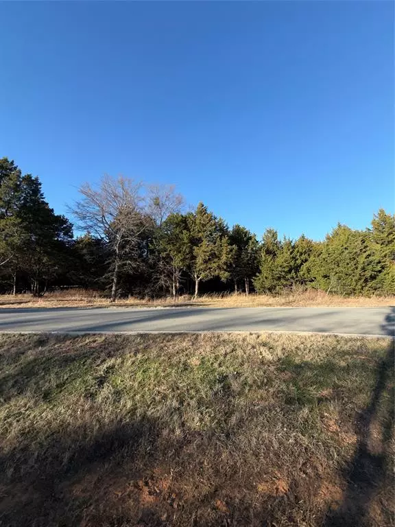 Gordonville, TX 76245,Lot 3 Forest Hills Drive