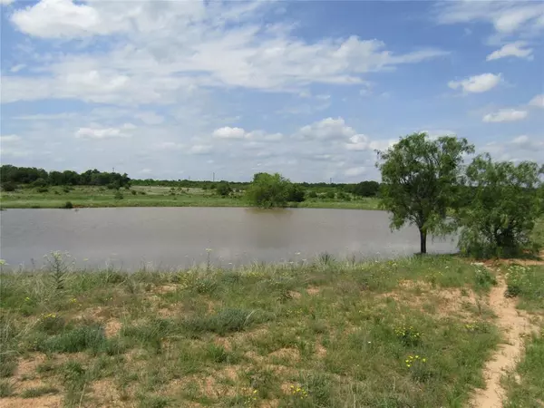 Rising Star, TX 76471,1801 County Road 268