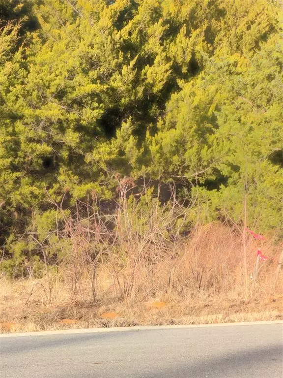 Gordonville, TX 76245,Lot 3 Forest Hills Drive