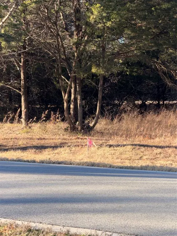 Gordonville, TX 76245,Lot 3 Forest Hills Drive