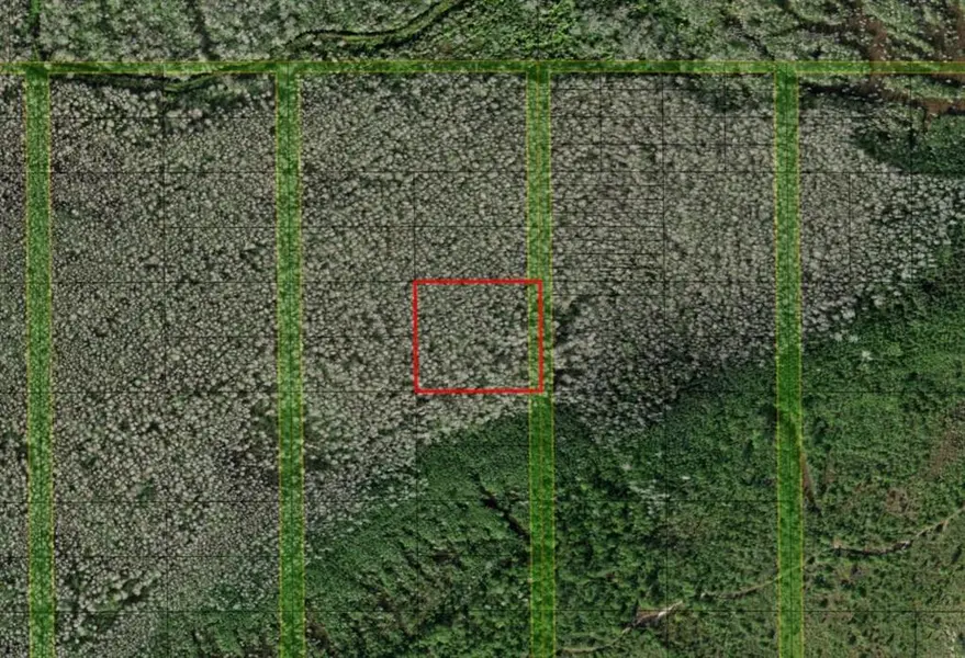 0 HOLOPAW GROVES RD, St. Cloud, FL 34772