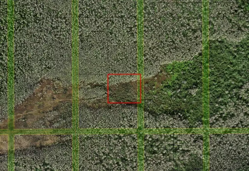 0 HOLOPAW GROVES RD, St. Cloud, FL 34772