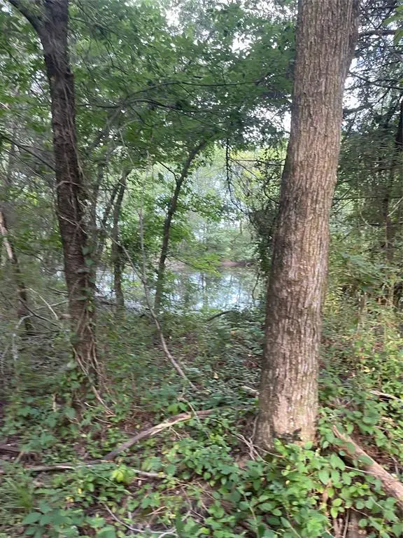 Bonham, TX 75418,TBD County Road 1160