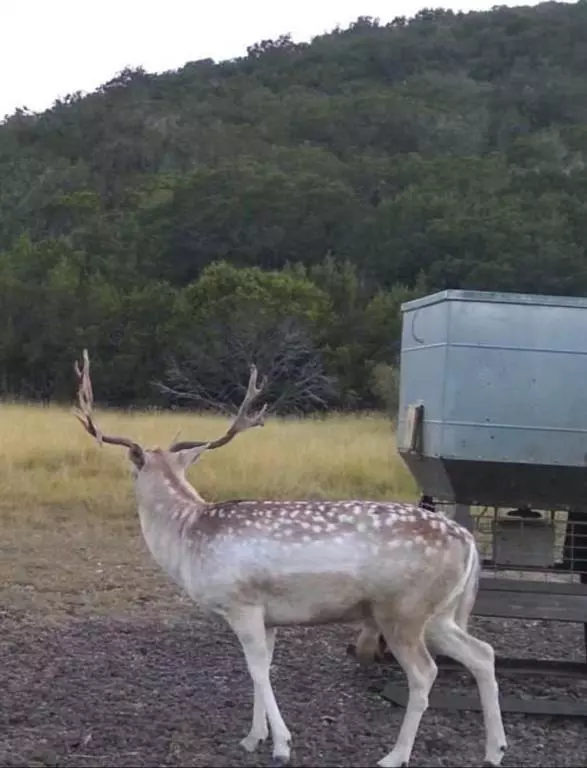 Uvalde, TX 78801,TBD PR 2705