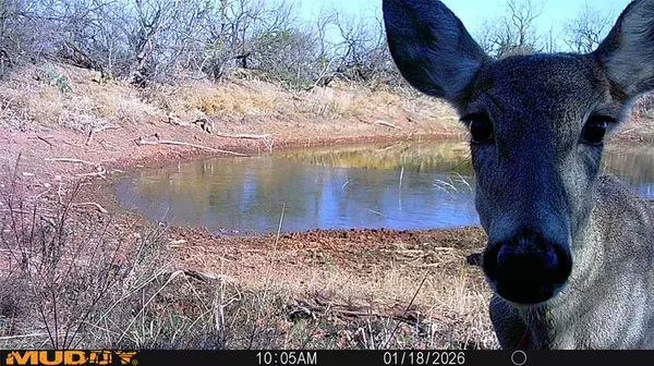 Abilene, TX 79606,TBD 42 County Road 318