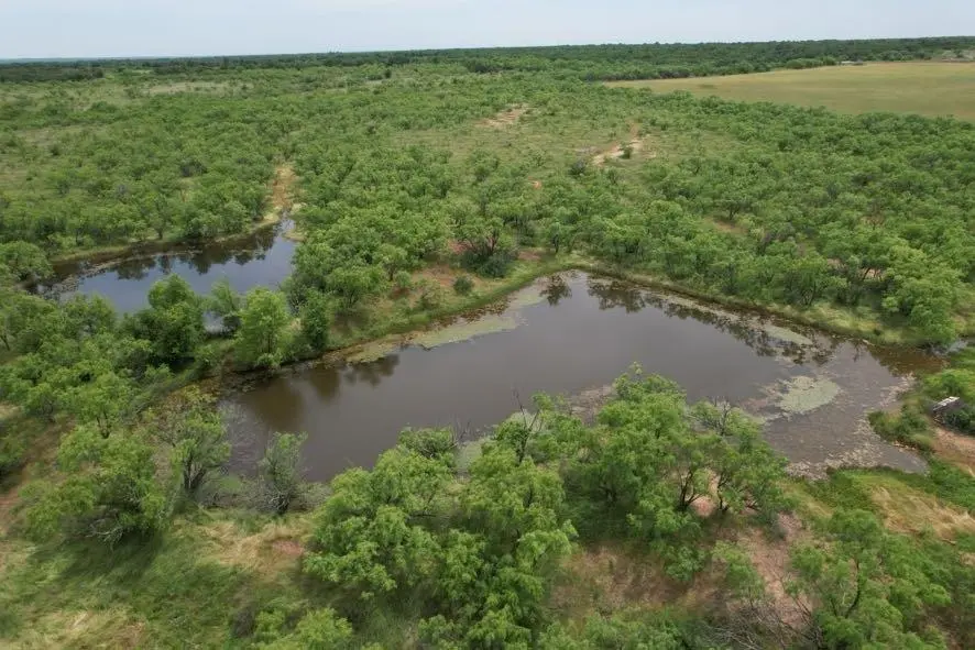 TBD FM 600, Anson, TX 79501