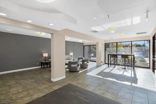 Morristown Town, NJ 07960,41 Mt Kemble Ave #204