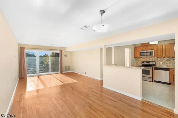 Morristown Town, NJ 07960,41 Mt Kemble Ave #204