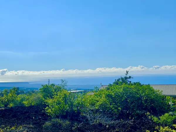 Ocean View, HI 96737,92-1229 ALII BLVD