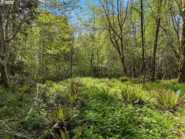 Raymond, WA 98577,1420 Raymond-South Bend RD