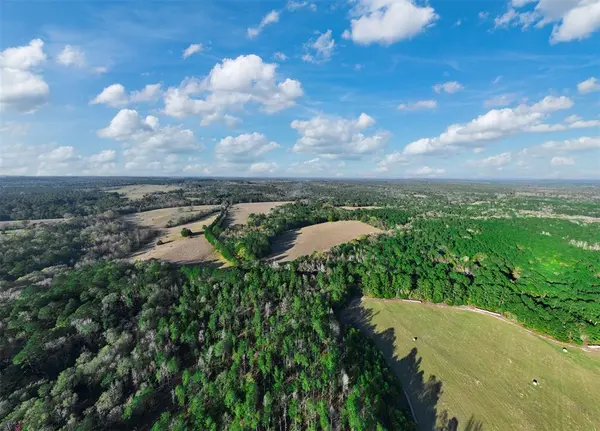 Palestine, TX 75801,0 ACR 153