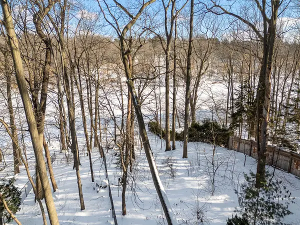 Toronto W01, ON M6S 2W7,8 Grenadier Ravine DR