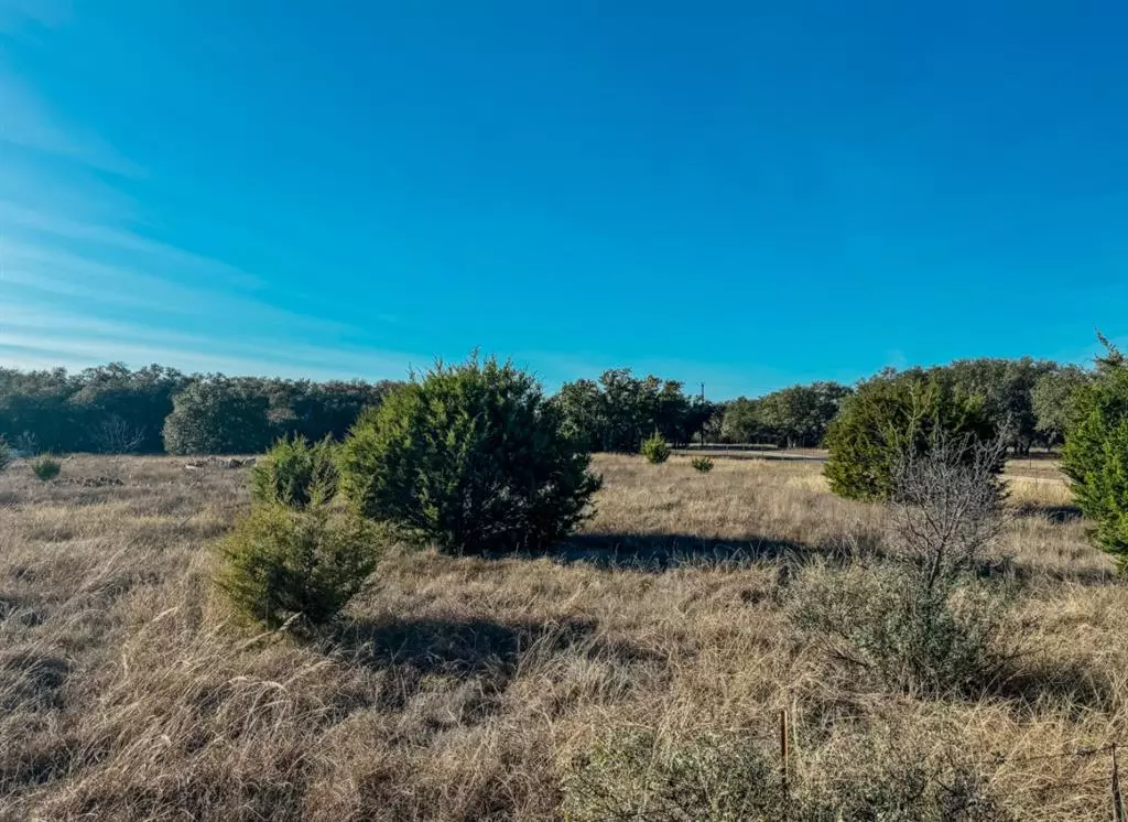 Early, TX 76802,TBD Wild Tree Lane