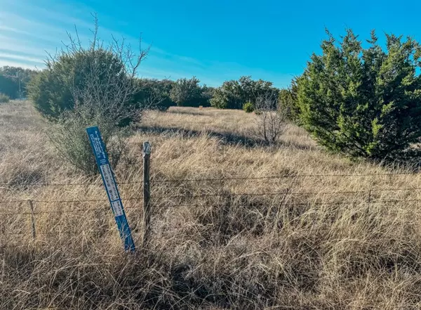 Early, TX 76802,TBD Wild Tree Lane