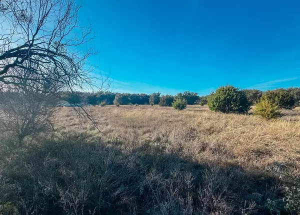 Early, TX 76802,TBD Wild Tree Lane