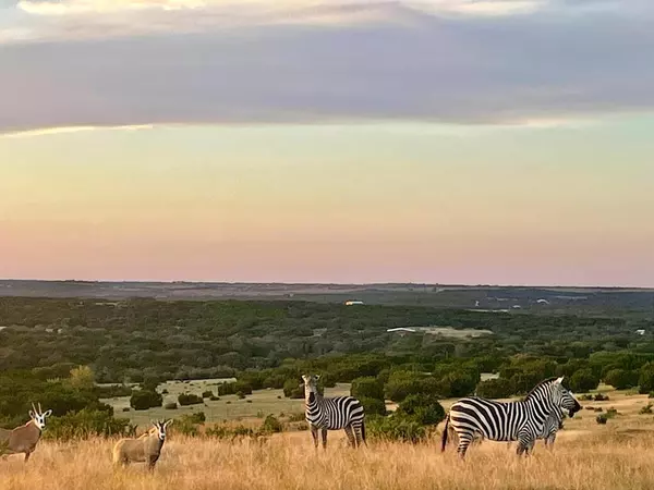 Tract 2 County Road 208, Lampasas, TX 76550