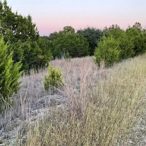 Kempner, TX 76539,731 County Road 3372