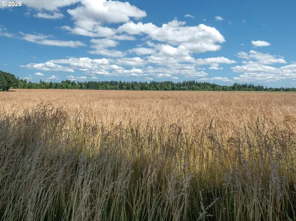 NW SCOTCH CHURCH RD, Hillsboro, OR 97124