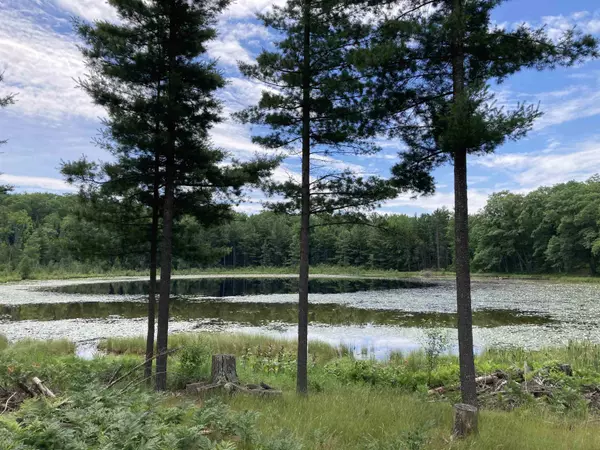 Rose City, MI 48654,1045 Abbott RD